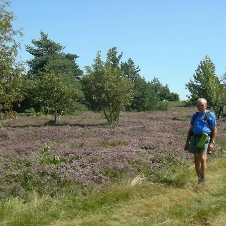 Eco-responsable 6 Pers. Proche A - Fr-1-496-98 * Chalmazel-Jeansagniere